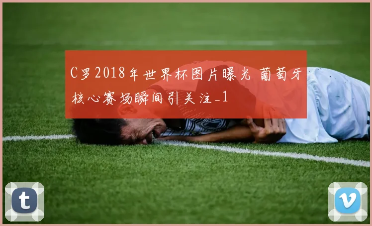 C罗2018年世界杯图片曝光 葡萄牙核心赛场瞬间引关注_1