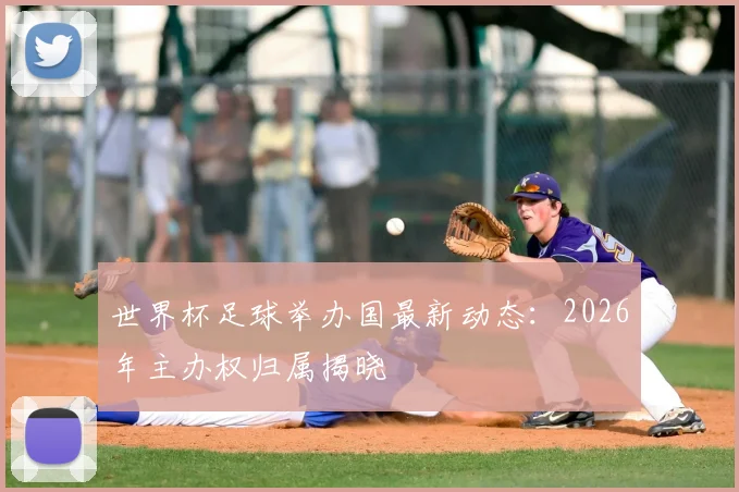 世界杯足球举办国最新动态：2026年主办权归属揭晓