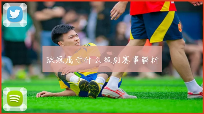 欧冠属于什么级别赛事解析