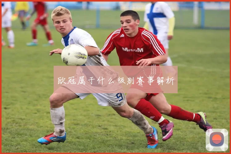 欧冠属于什么级别赛事解析
