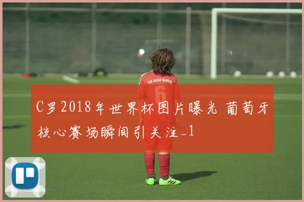 C罗2018年世界杯图片曝光 葡萄牙核心赛场瞬间引关注_1