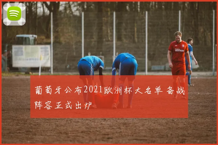 葡萄牙公布2021欧洲杯大名单 备战阵容正式出炉